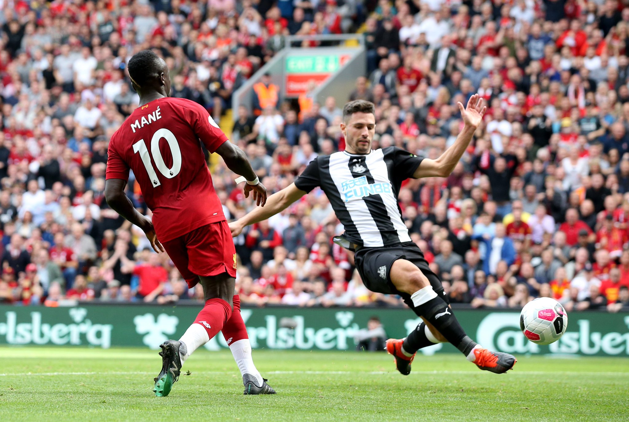 了新鲜血液 了新鲜血液