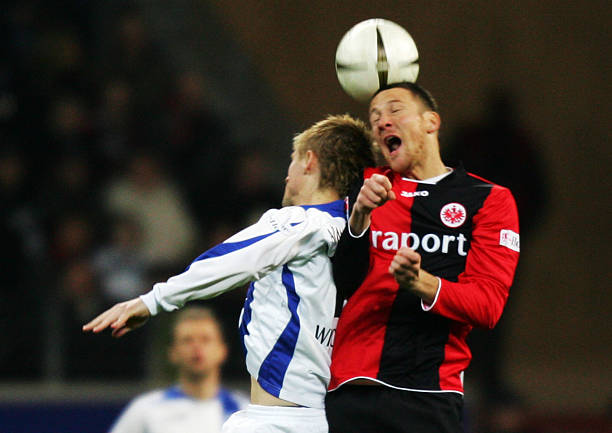 份高达5年 份高达5年